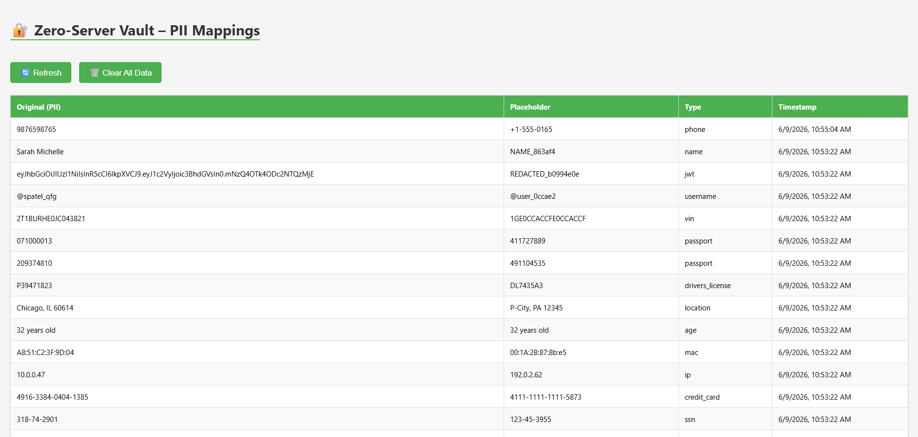 Zero Server AI Privacy Gateway Project Screenshot 1